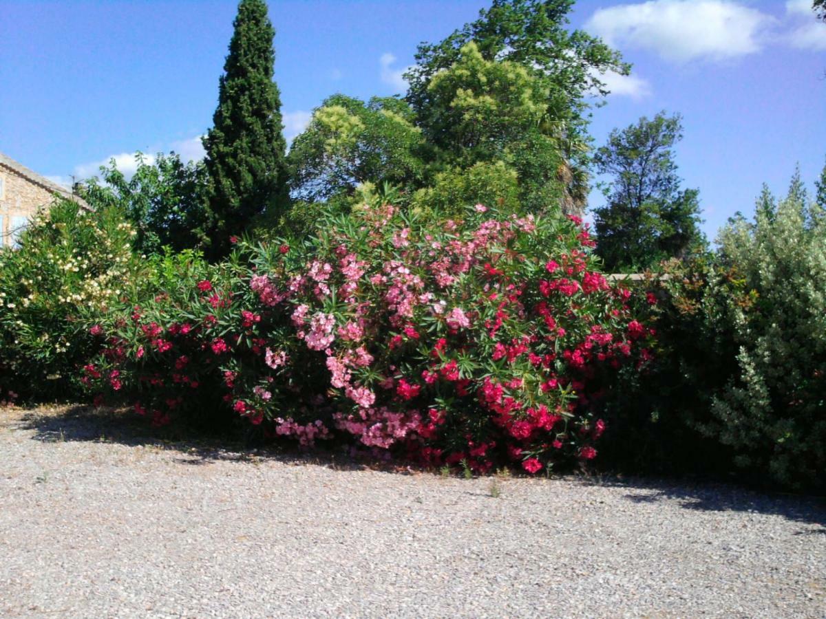 Villa Aigues Vives Boutenac Exterior foto